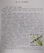 һ���u�㣬���꽭����